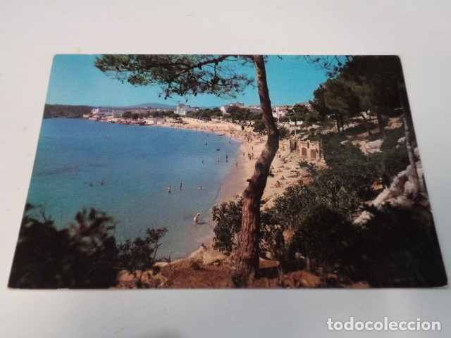Postales: MALLORCA - POSTAL PORTO CRISTO - Foto 1
