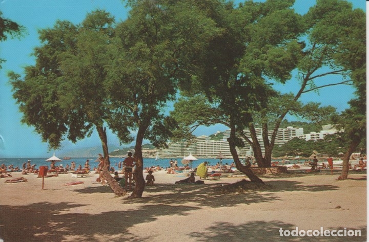 Postales: (1425) MALLORCA. SANTA PONSA - Foto 1