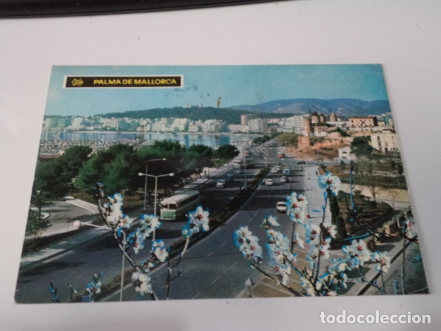 Postales: MALLORCA - POSTAL PALMA - PASEO MAR&Iacute;TIMO - Foto 1