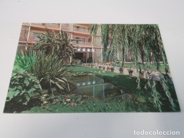 Postales: MALLORCA - POSTAL PALMA - HOTEL ARAXA - Foto 1