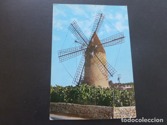 Postales: MALLORCA MOLINO TIPICO - Foto 1