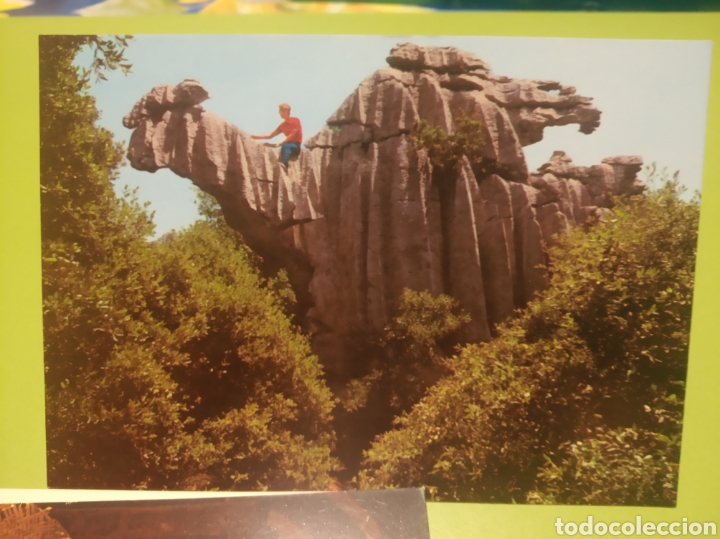 Postales: Mallorca - Foto 1