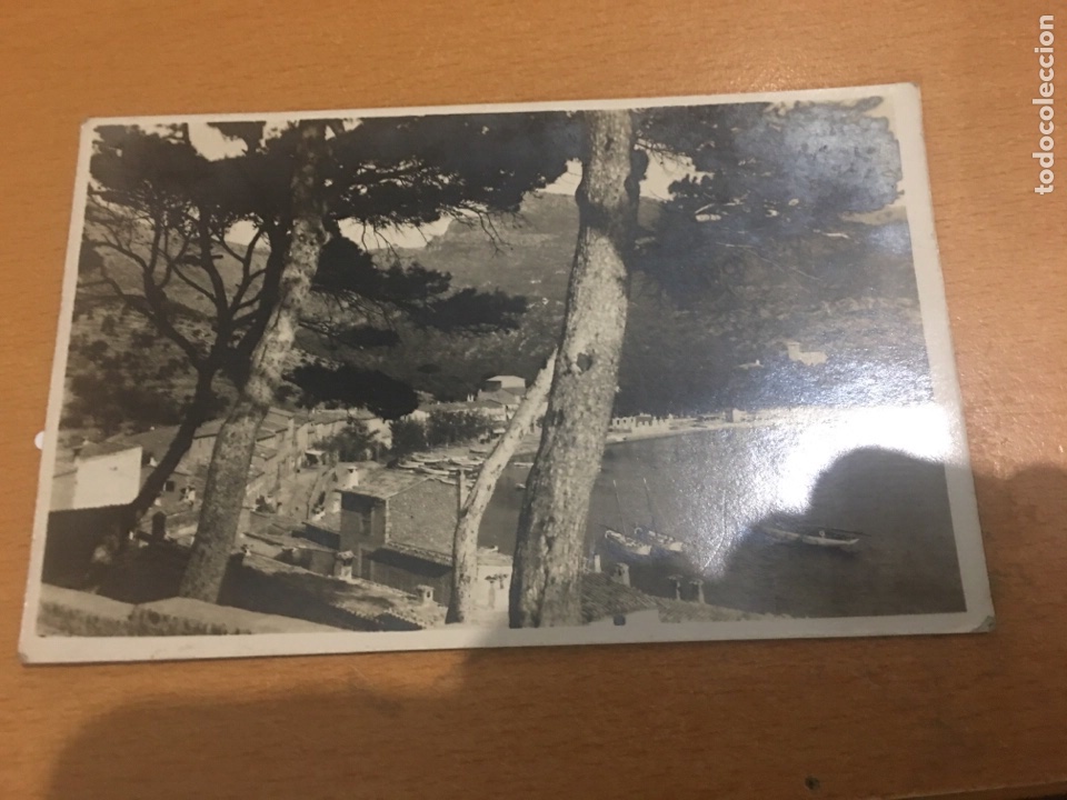 Postales: Mallorca puerto del Soller - Foto 1