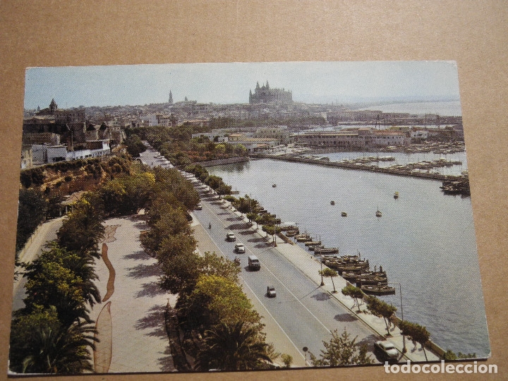 Postales: Palma de Mallorca. Paseo Mar&iacute;timo. 1003 - Foto 1