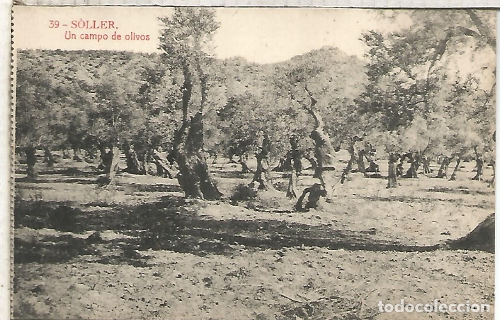 Postales: MALLORCA SOLLER SIN ESCRIBIR - Foto 1
