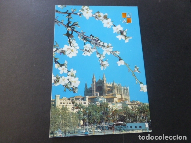 Postales: PALMA DE MALLORCA LA CATEDRAL - Foto 1