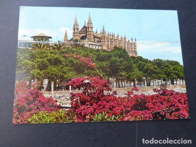 Postales: PALMA DE MALLORCA LA CATEDRAL - Foto 1