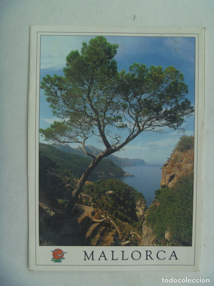 Postales: POSTAL DE MALLORCA : ESTALLENCHS - Foto 1