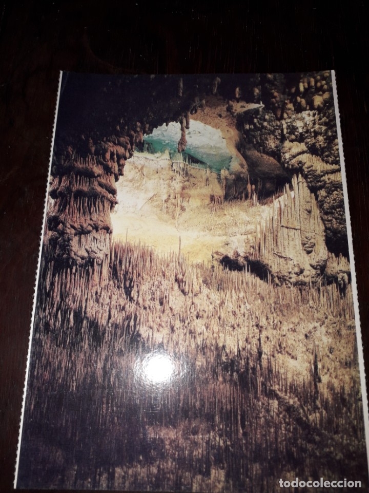 Cartes Postales: N&ordm; 32228 POSTAL CUEVAS DEL DRACH PORTO CRISTO MALLORCA