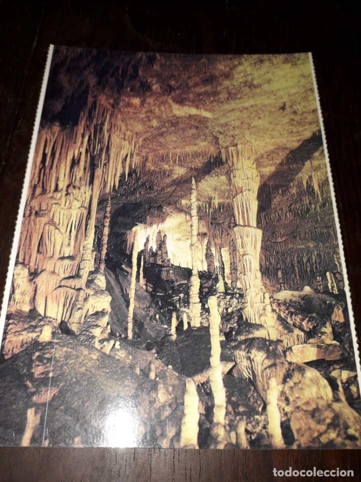 Cartes Postales: N&ordm; 32229 POSTAL CUEVAS DEL DRACH PORTO CRISTO MALLORCA