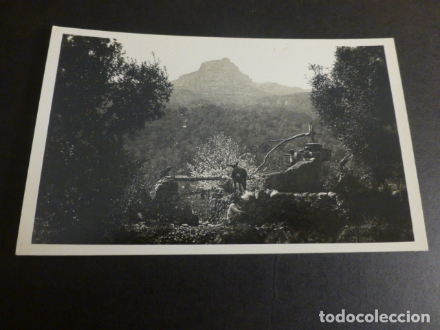 Postales: POLLENSA MALLORCA PAISAJE - Foto 1