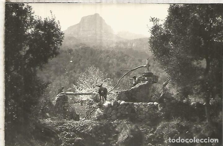 Postales: MALLORCA POLLENSA SIN ESCRIBIR - Foto 1