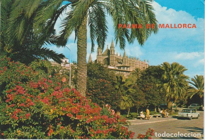 Postales: (55) PALMA DE MALLORCA. LA CATEDRAL - Foto 1