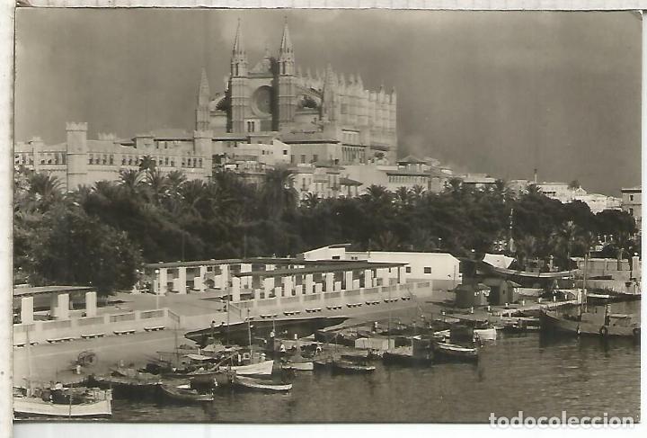 Postales: MALLORCA PALMA SIN ESCRIBIR - Foto 1