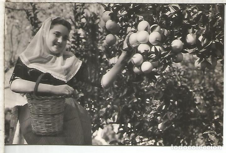 Postales: MALLORCA PALMA SIN ESCRIBIR - Foto 1