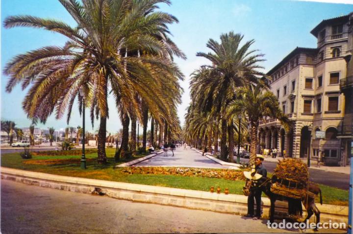 Postales: postal mallorca paseo sagrera - Foto 1
