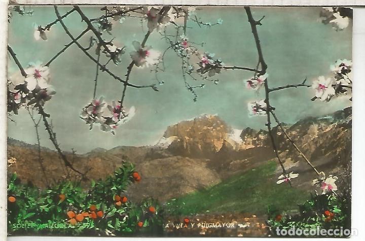 Postais: BALEARES PUIGMAJOR SIN ESCRIBIR