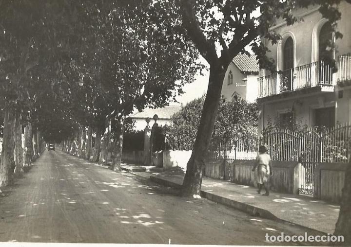 Postales: PALAUTORDERA-PASSEIG DEL REMEY-5-ED&middot;J.JAS-POSTAL FOTOGRAFICA ANTIGUA-(66.304)