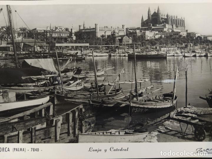 Cartoline: MALLORCA-LONJA Y CATEDRAL-FOTOGRAFICA-POSTAL ANTIGUA-(66.673)