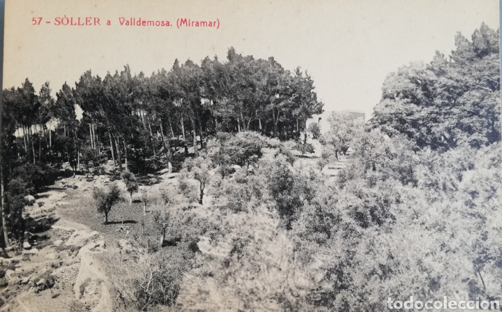Postales: S&Ograve;LLER A VALLDEMOSSA (Miramar) - MALLORCA - SIN CIRCULAR - Foto 1