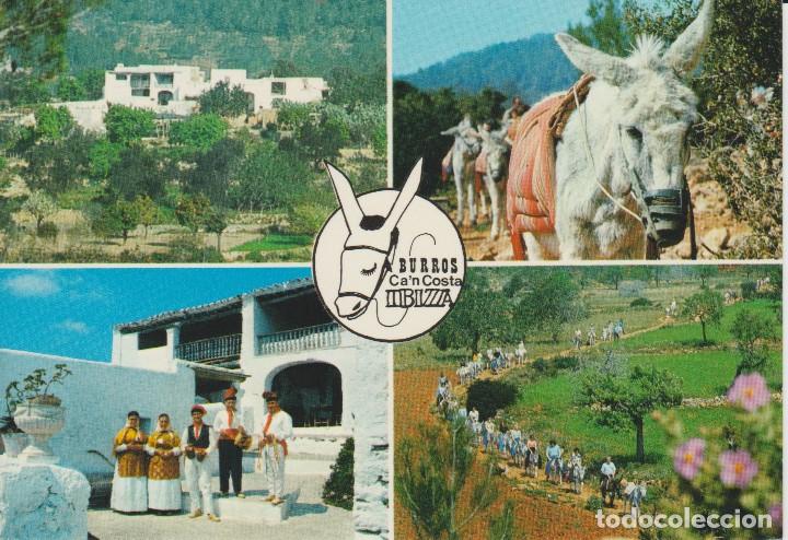 Postales: IBIZA. BURROS CAN COSTA ... SIN CIRCULAR - Foto 1