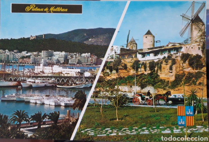 Postales: POSTAL DE PALMA DE MALLORCA - Foto 1
