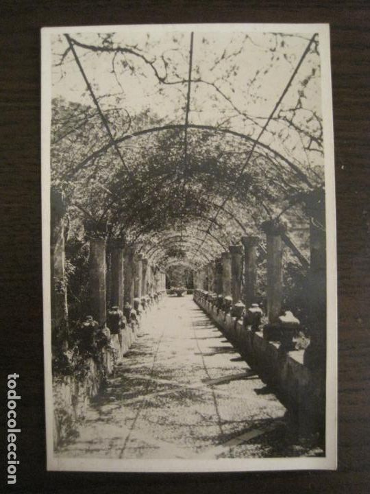 Postais: MALLORCA-ALFABIA-AVENIDA DEL PARRAL-ED&middot;RUL LAN-9-POSTAL ANTIGUA-(68.103)