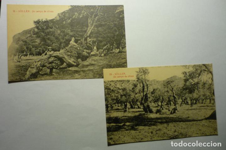 Postales: LOTE POSTALES SOLLER - CAMPO OLIVOS CM