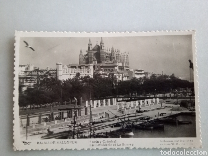 Postales: Palma. Mallorca. Lonja y catedral - Foto 1