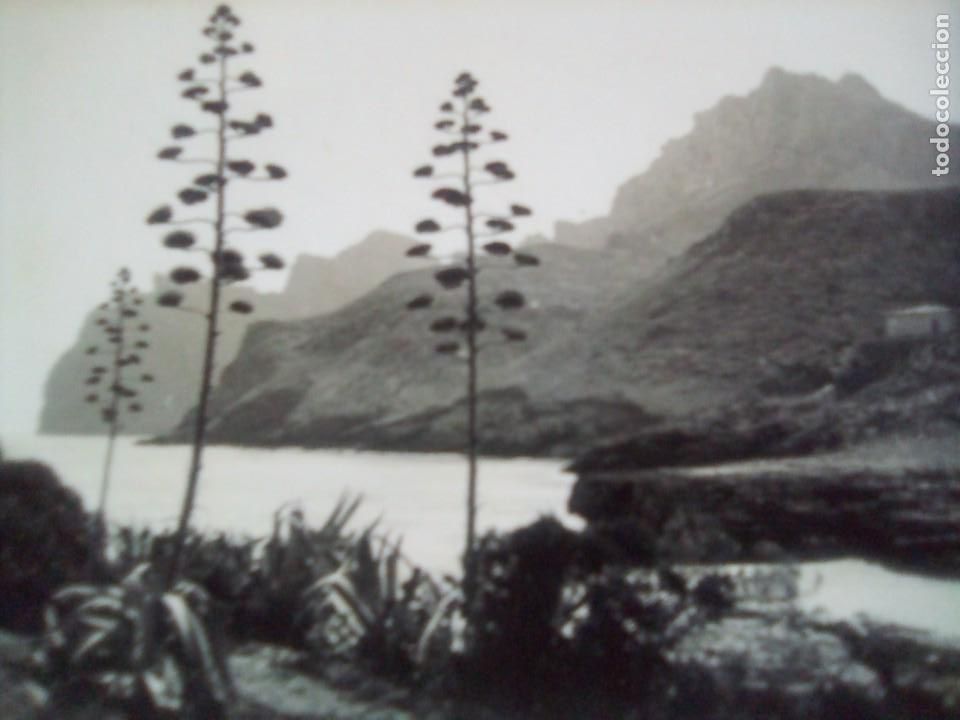 Postales: San Vicente de Pollensa-Mallorca - Foto 2