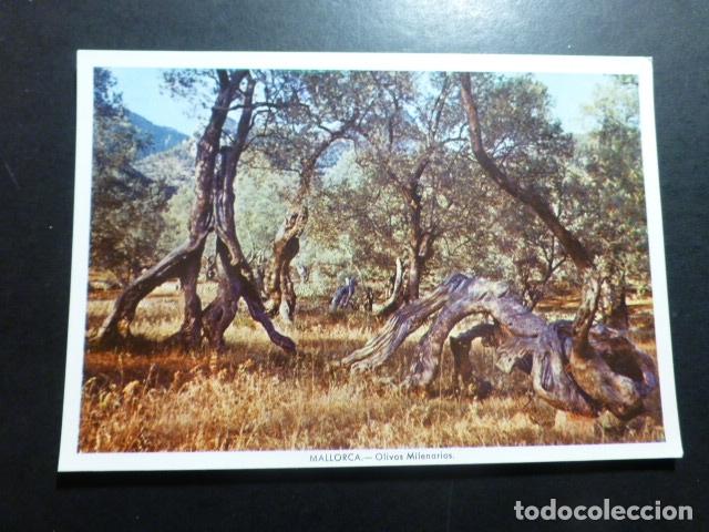 Postales: MALLORCA - Foto 1