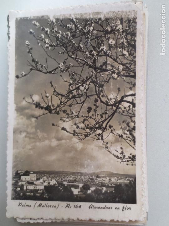 Postales: palma mallorca.  almendros en flor - Foto 1