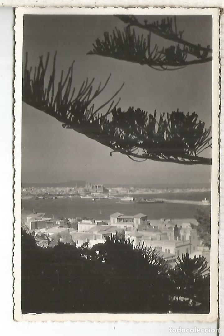Postales: BALEARES PALMA SIN ESCRIBIR - Foto 1