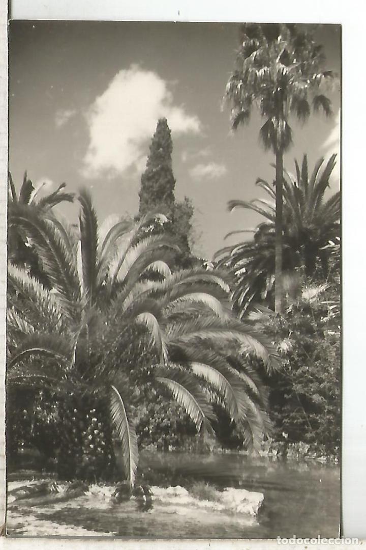 Postais: BALEARES JARDINES DE ALFABIA SIN ESCRIBIR