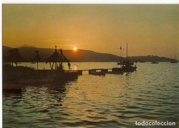 Postales: POSTAL PUERTO DE POLLENSA N&ordm; PM 563