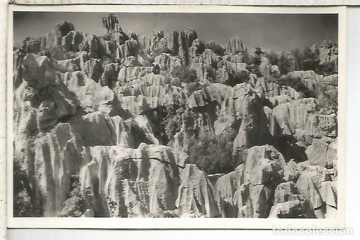 Postales: BALEARES LLUCH MALLORCA  SIN ESCRIBIR - Foto 1