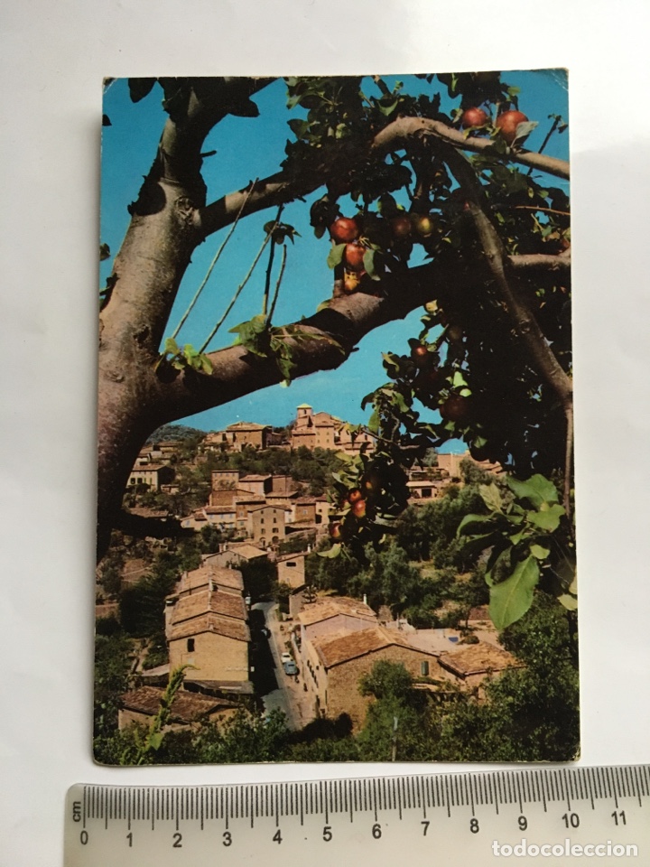 Postales: POSTAL. DEYA. MALLORCA. DETALLE. ZERKOWITZ. - Foto 1