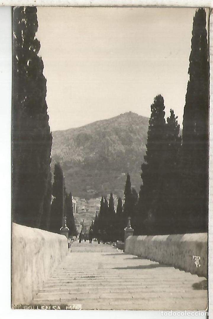 Postales: BALEARES MALLORCA POLLENSA SIN ESCRIBIR - Foto 1