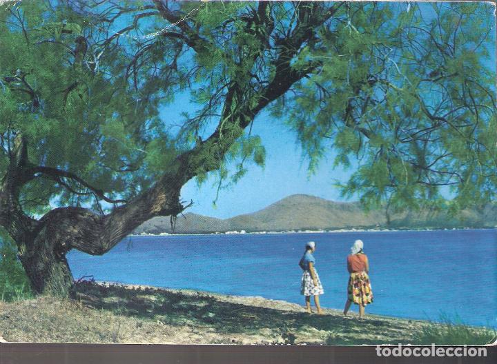 Postales: Bah&iacute;a de Pollensa. Mallorca. - Foto 1
