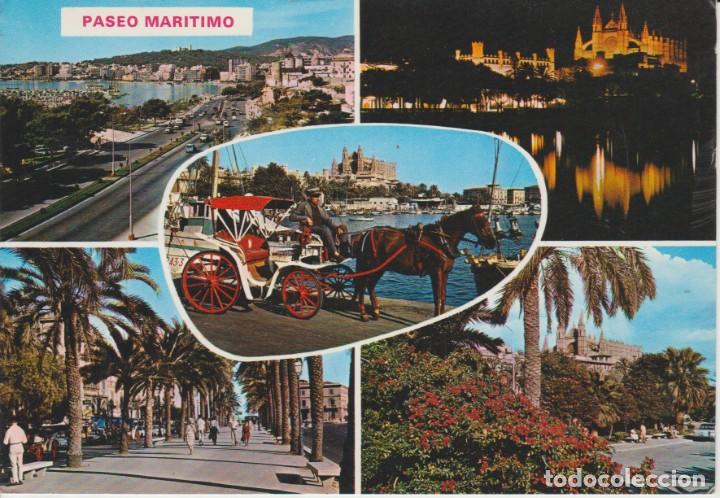 Postales: (147) PALMA DE MALLORCA. PASEO MARITIMO - Foto 1