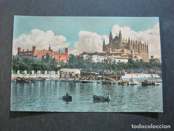 Postales: PALMA DE MALLORCA-LONJA Y CATEDRAL-ZERKOWITZ-537-POSTAL ANTIGUA-(72.024)