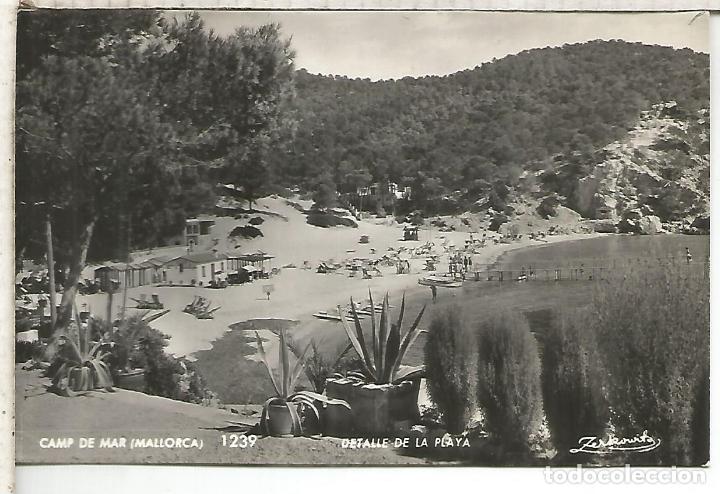 Postales: BALEARES MALLORCA CAMP DE MAR ESCRITA - Foto 1