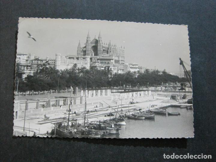 Postales: PALMA DE MALLORCA-LONJA Y CATEDRAL-FOTOGRAFICA-POSTAL ANTIGUA-(72.831)