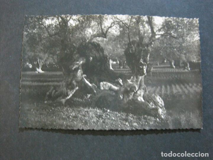 Postales: PALMA DE MALLORCA-FOTOGRAFICA-POSTAL ANTIGUA-(72.845)