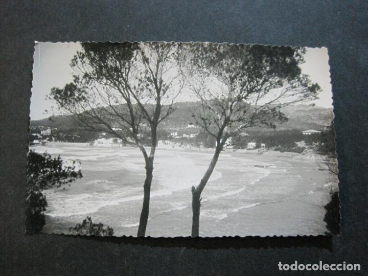 Postales: PALMA DE MALLORCA-FOTOGRAFICA-POSTAL ANTIGUA-(72.848)