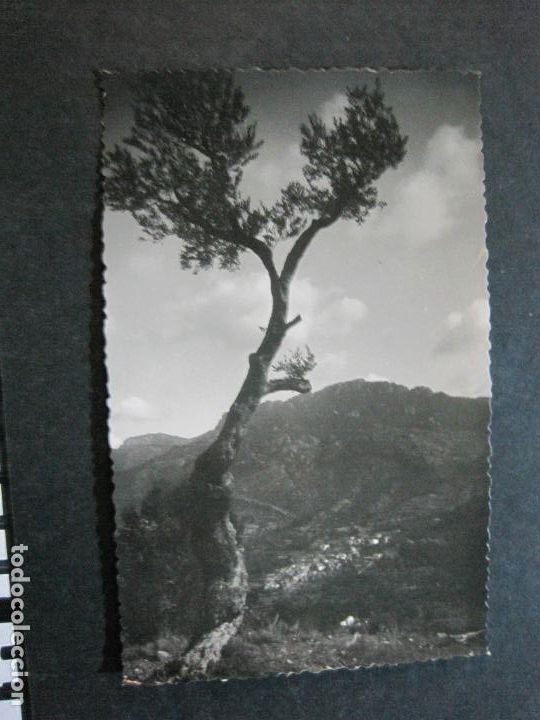 Postales: PALMA DE MALLORCA-FOTOGRAFICA-POSTAL ANTIGUA-(72.854)