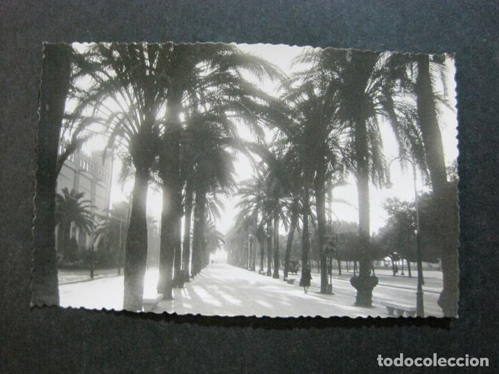 Postales: PALMA DE MALLORCA-FOTOGRAFICA-POSTAL ANTIGUA-(72.863)