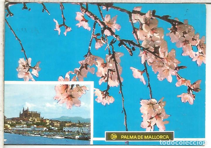 Postales: BALEARES MALLORCA ESCRITA - Foto 1