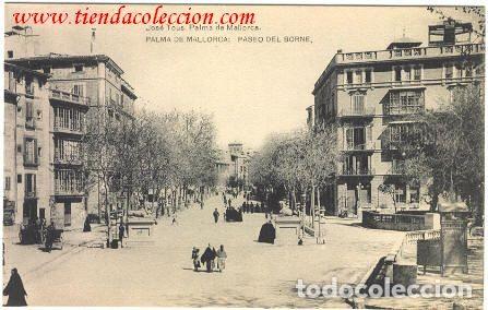 Postales: Palma de Mallorca.- Paseo del Borne - Foto 1