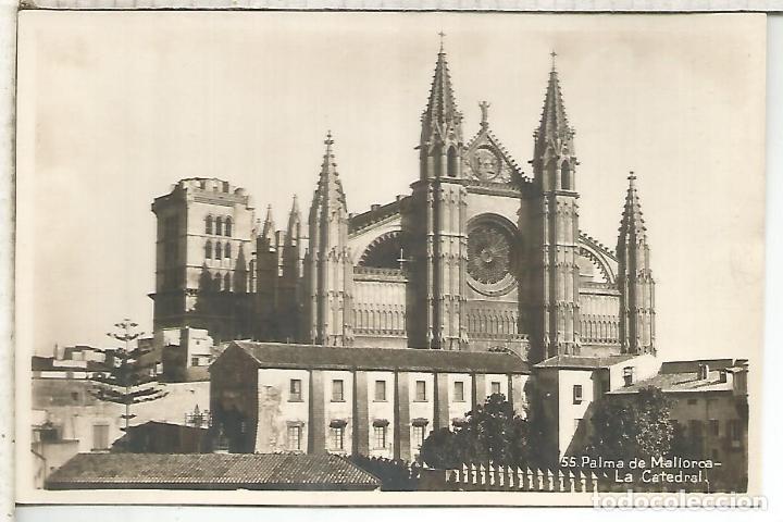 Cartoline: CATEDRAL PALMA MALLORCA SIN ESCRIBIR